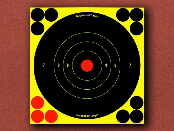 [Birchwood Casey] Shoot-N-C Targets